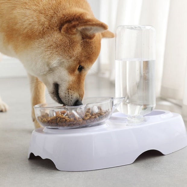 Transparent plastic feeding and drinking bowl