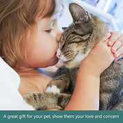 Pet Bowl Pet Feeding Bowl Slow Feeding Bowl Pet Feeding Equipment Dog Bowls Automatic Bowl Dog Slow Feeder Bowl Dog Slow Feeder Dish Detachable Water Tray Dog Food Bowl